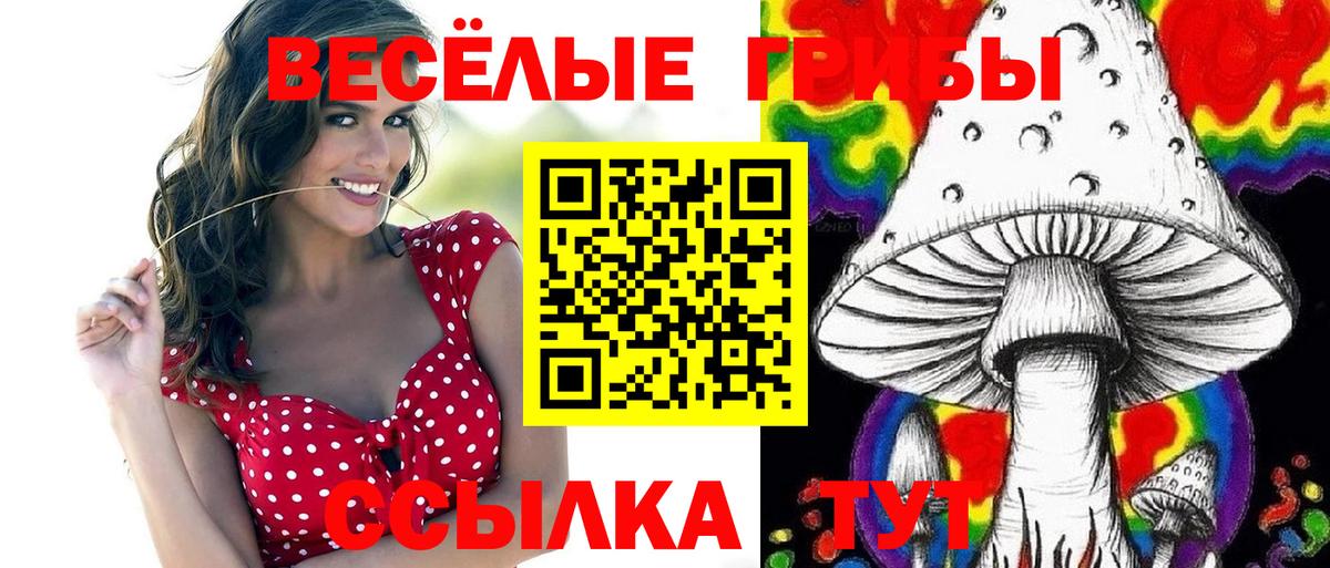 Галлюциногенные грибы Magic Shrooms  хочу наркоту  Кудымкар  Вход с VPN  Псилоцибиновые грибы Psilocybine cubensis 