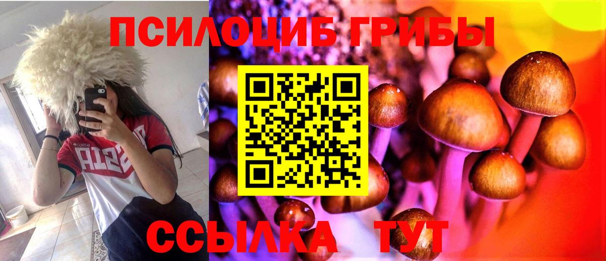 Галлюциногенные грибы мицелий Кудымкар